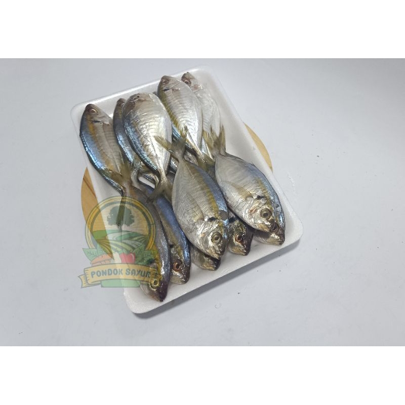 

Ikan Selar Fresh 500Gr