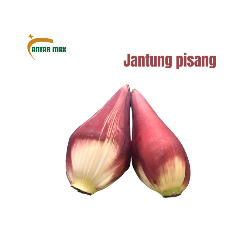 

JANTUNG pisang 1pcs