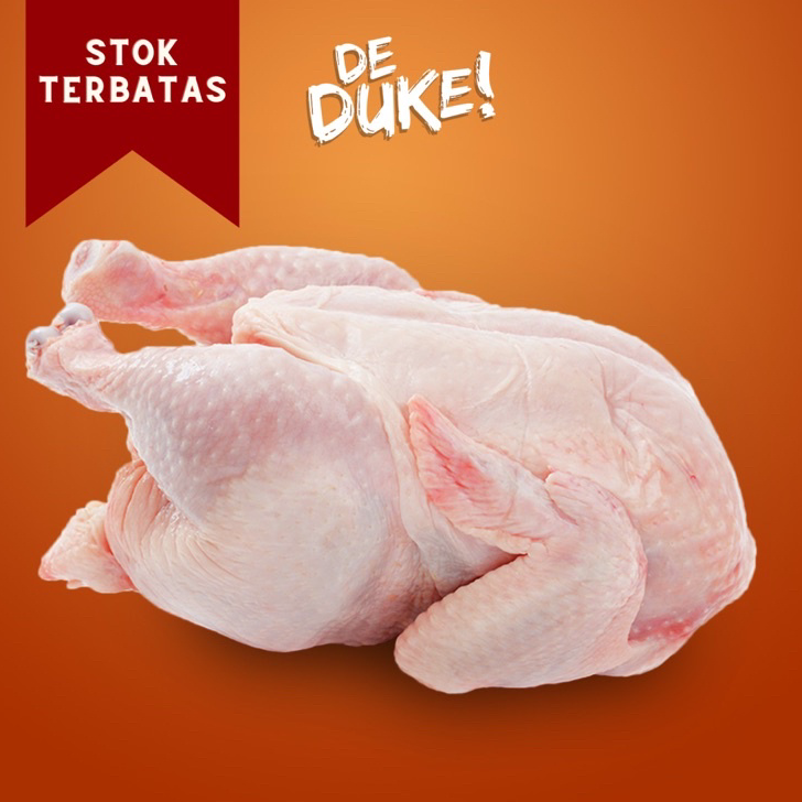 

HPXJ2326 Stok terbaru Ayam Karkas Broiler / Ayam Utuh 500-1300Gram