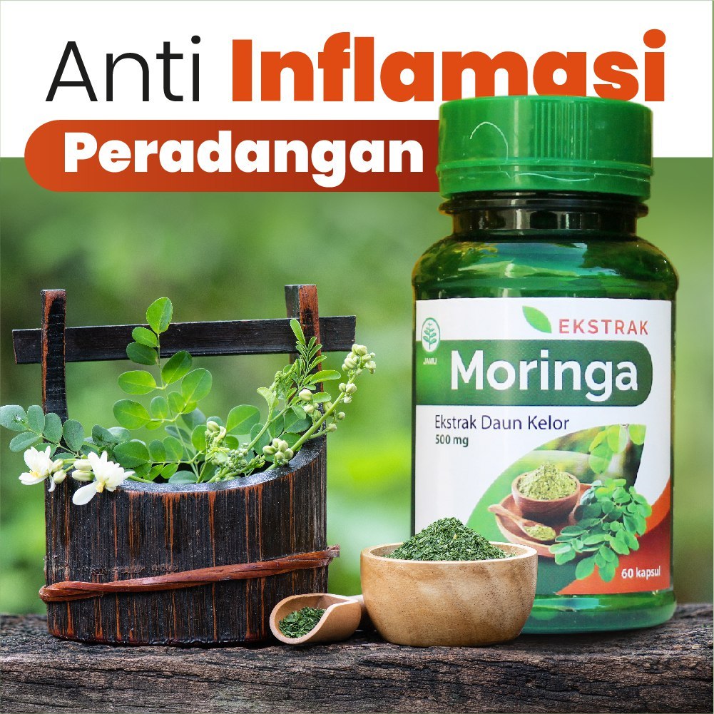 

Kapsul Daun Kelor Moringa Asli Original Bpom Obat Kolesterol Tinggi Dan Asam Urat