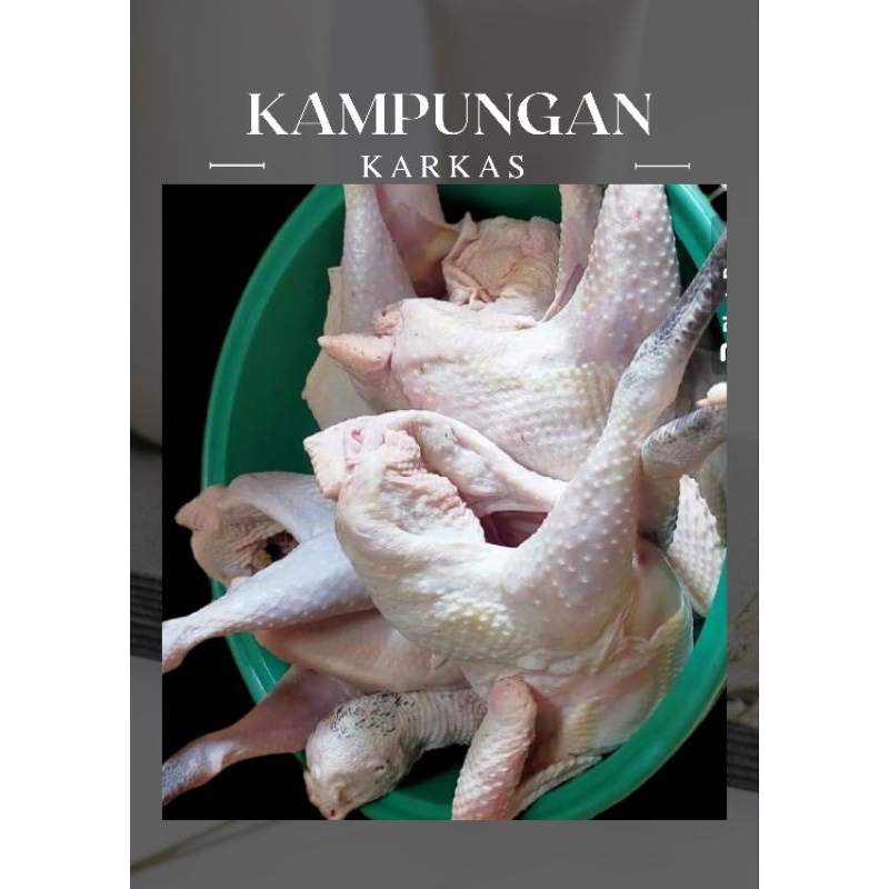 

AYAM KAMPUNG MENENGAH 750-800GRAM