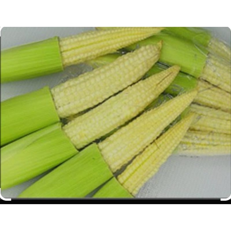 

jagung putren 200gr