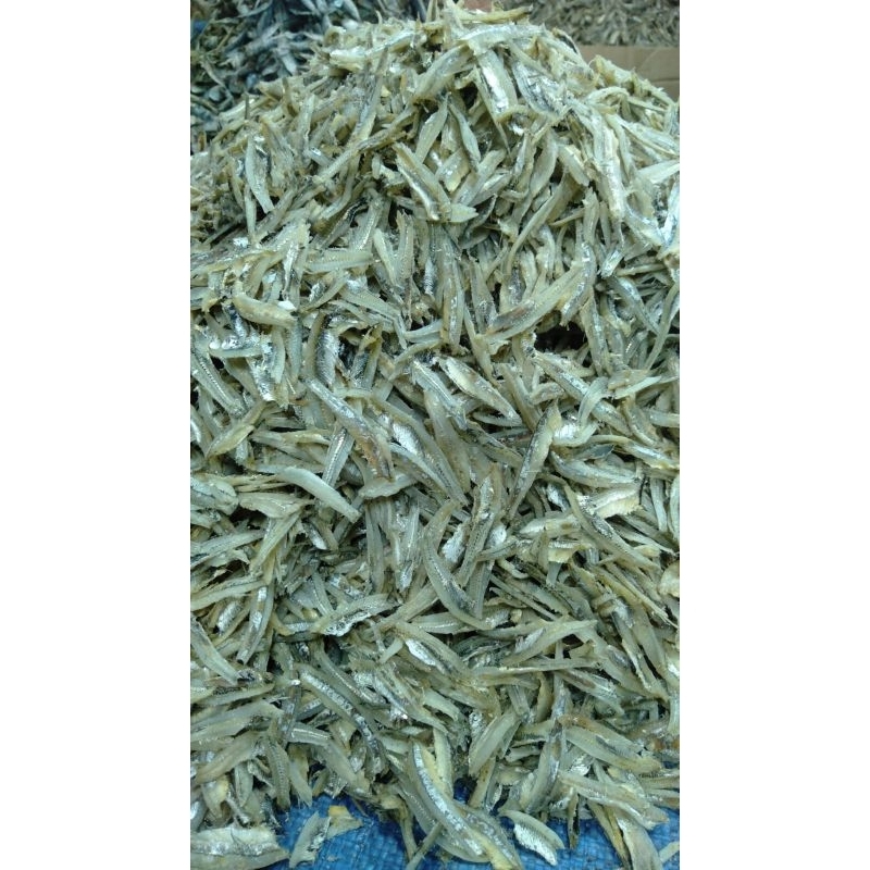

teri jenki belah