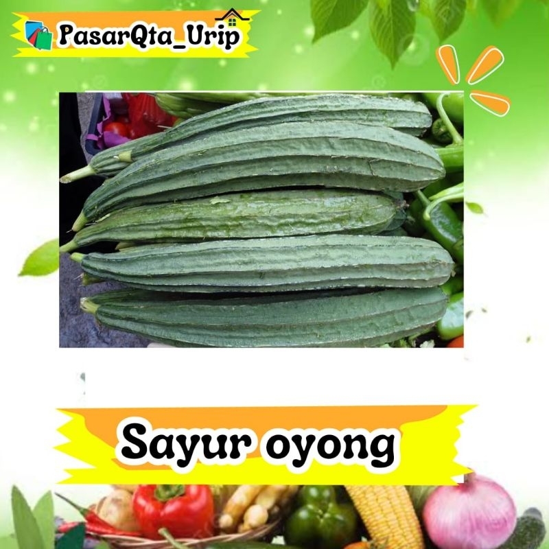 

sayur oyong perikat / pasar online makassar