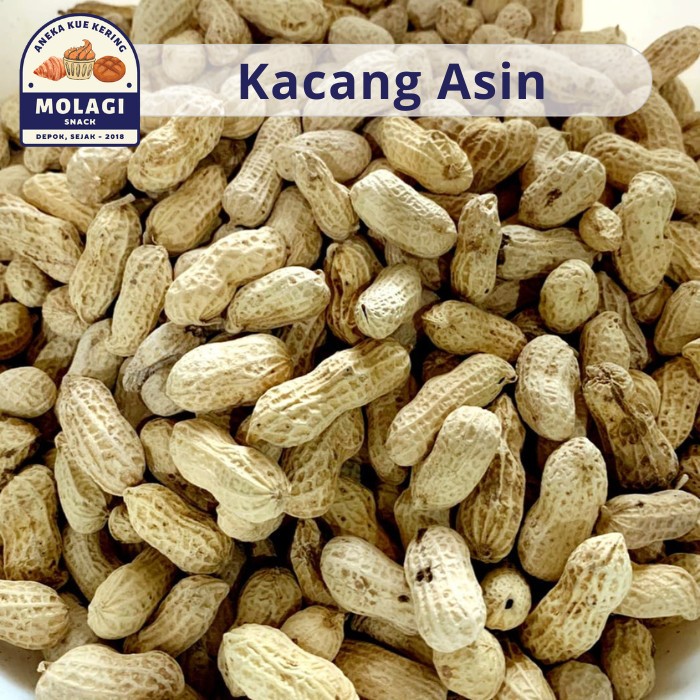 

Kacang Kulit Oven Asin Gurih / Kacang Tanah Kulit 250 Gram - Molagi Snack