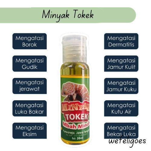 Minyak Tokek Asli Mbah Minah 30 Ml Atasi Semua Penyakit Kulit Gatal, Kadas, Kurap, Eksim, Jerawat Ba