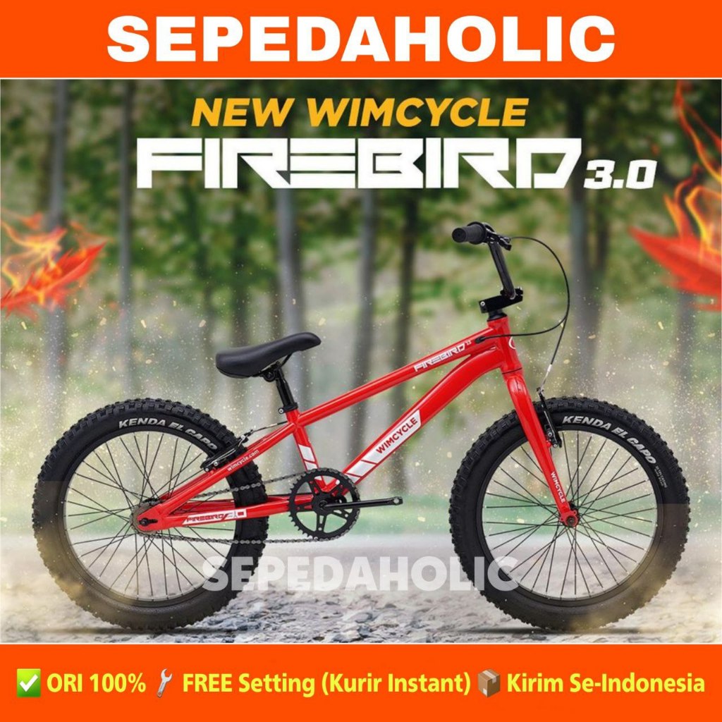 Sepeda Anak Laki BMX WIMCYCLE FIREBIRD 3.0 Ban Jumbo Ukuran 20 Inch