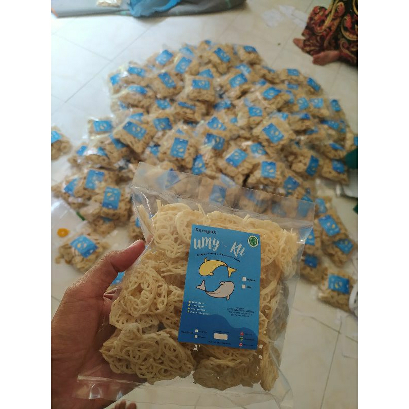 

paket usaha kerupuk