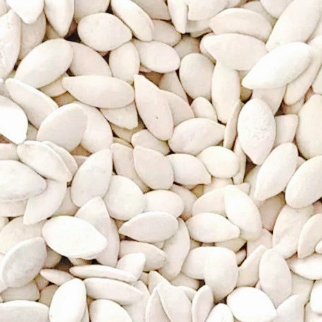 

Stok Banyak KUACI BIJI LABU /. KUACI PUTIH 500 GRAM Ready Stock