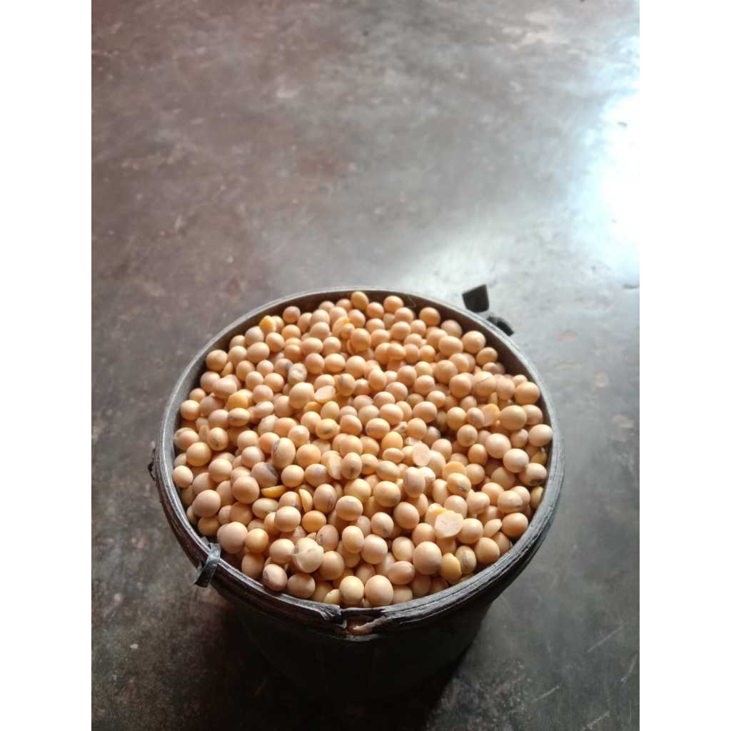 

Kacang Kedelai Super - Kualitas Import - Grade B