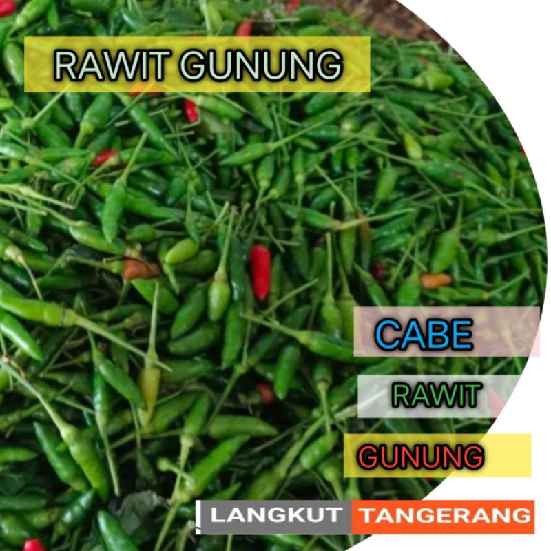

cabe gunung rawit Lampung 100gram