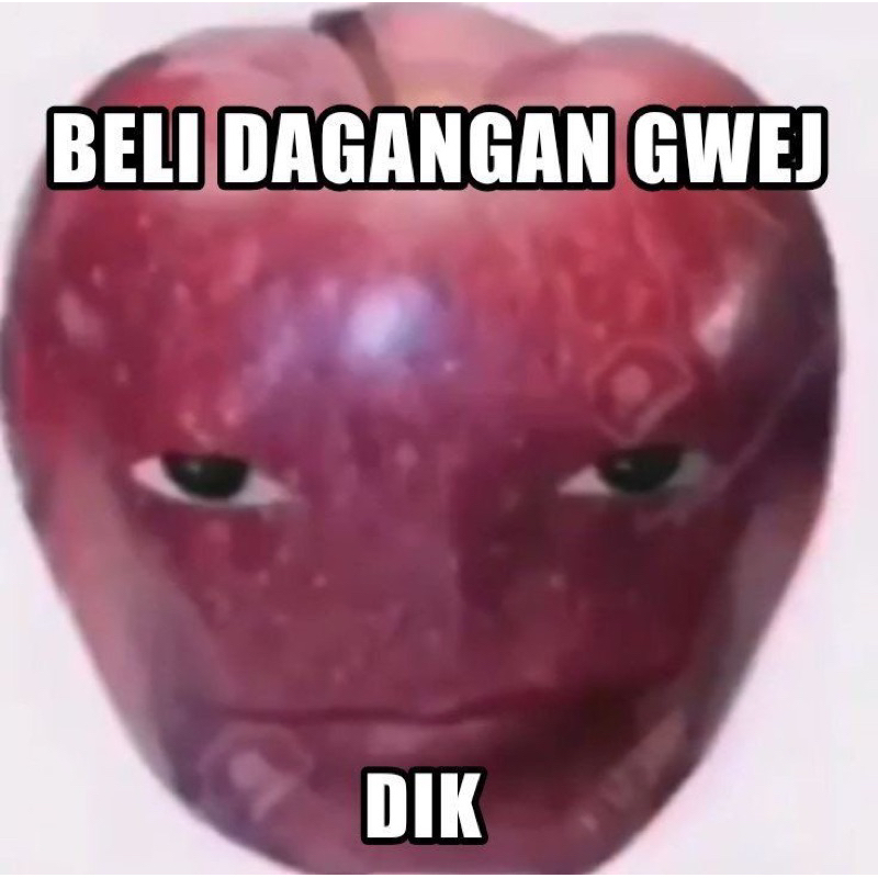 Skzoo Leebit Plush Ori preloved booked