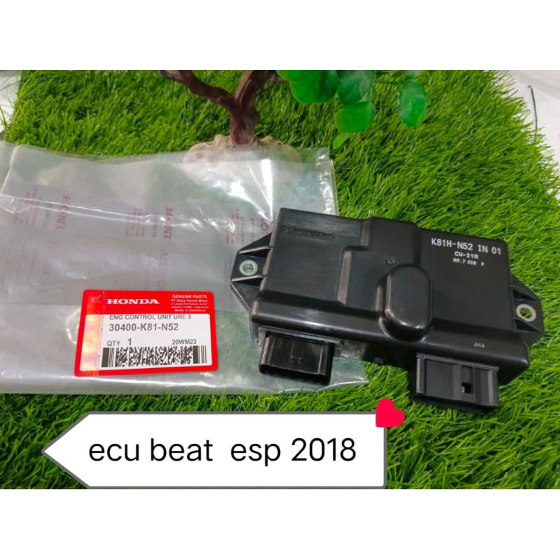 ECU BEAT ESP 2018 K81-N52