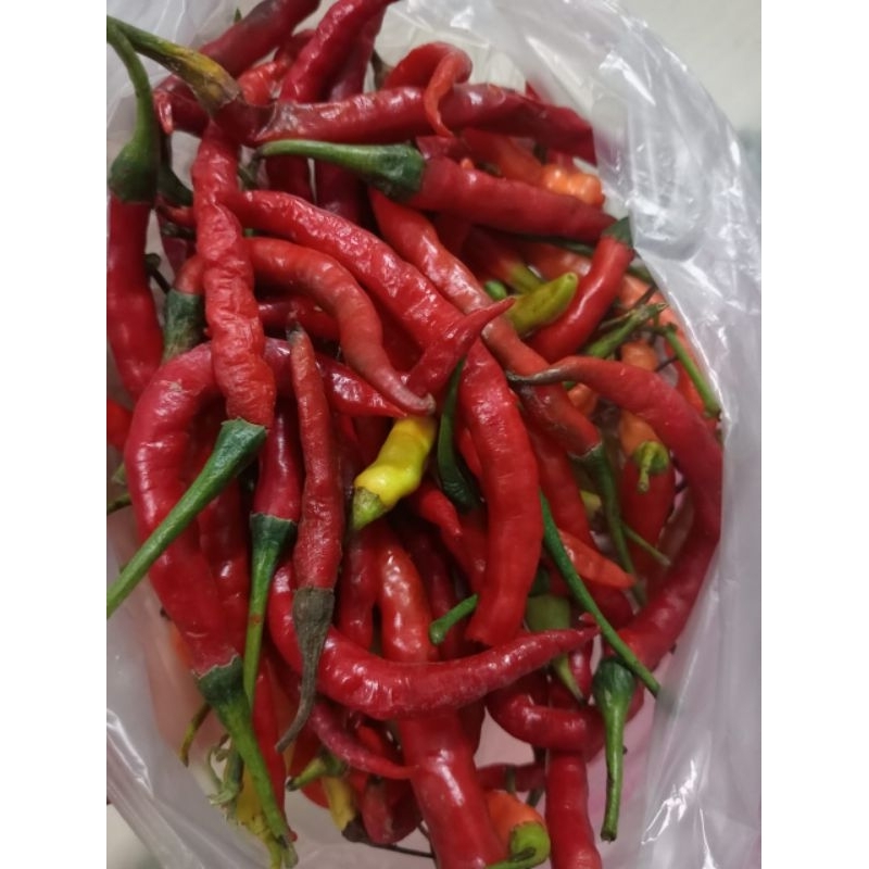 

cabai merah dan keriting segar campur pedas