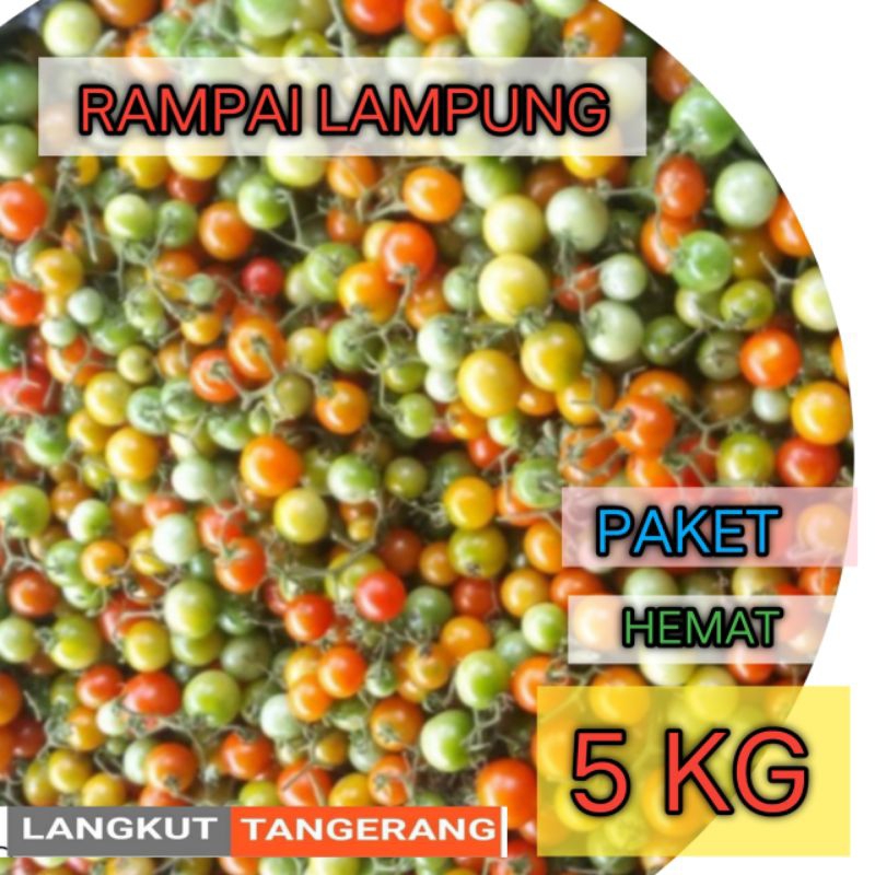 

rampai lampung paket resto 5kg
