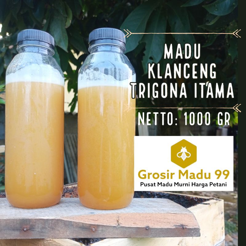 

Madu Asli Murni Klanceng Trigona Itama 1 kg 1000gr