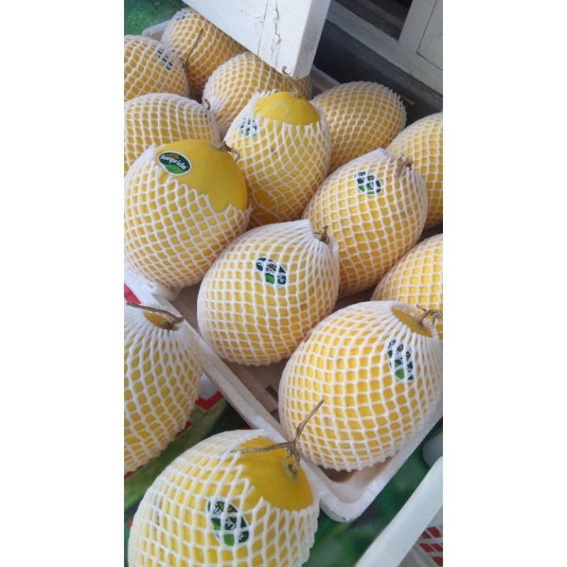 

Baby Golden Melon ± 800-1kg