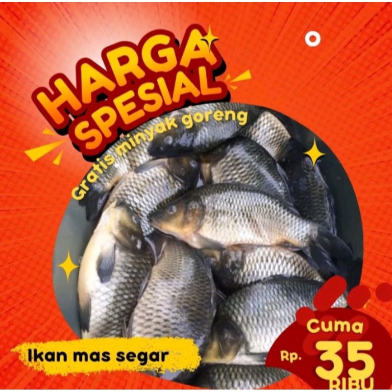 

Ikan mas segar harian 1kg isi 2/6 (bukan frozen) free dibersihkan gratis minyak goreng 1liter