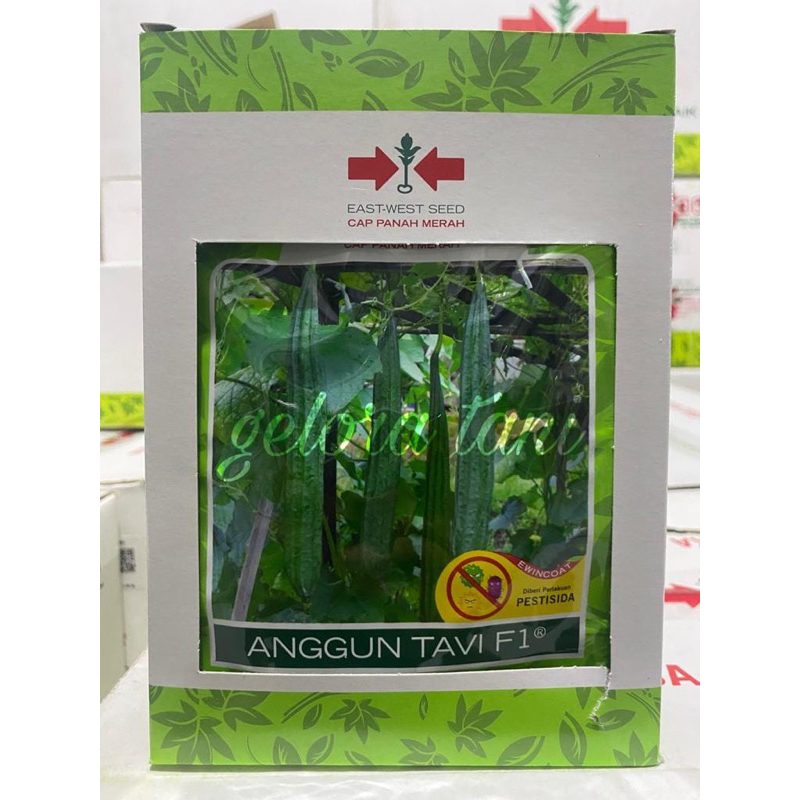 BENIH OYONG ANGGUN TAVI 75S