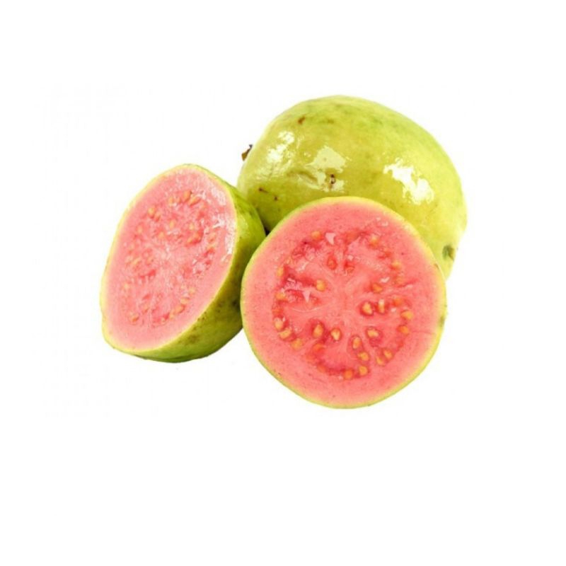 

jambu merah biji kualitas super ukuran besar