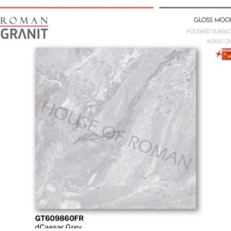 Roman Granit GT609860FR dCaesar Grey 60x60 kw1