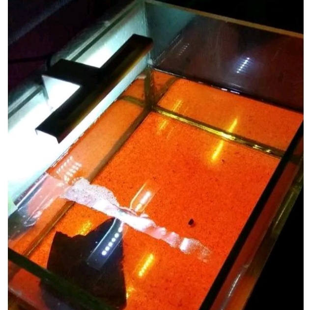 LAMPU LED AQUASCAPE AQUARIUM TETRARIUM LED SOLITER AKUARIUM IKAN CANNA CUPANG GUPPY GLOWFISH LAMPU B