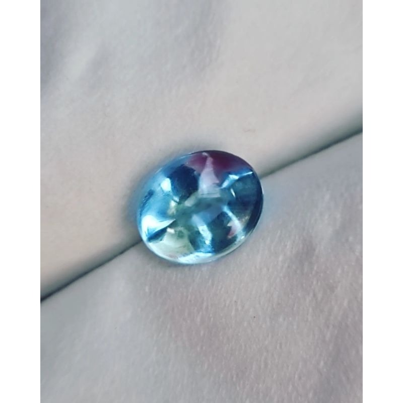 BIRLA KECUBUNG BIRU LAUT KECUBUNG KALIMANTAN