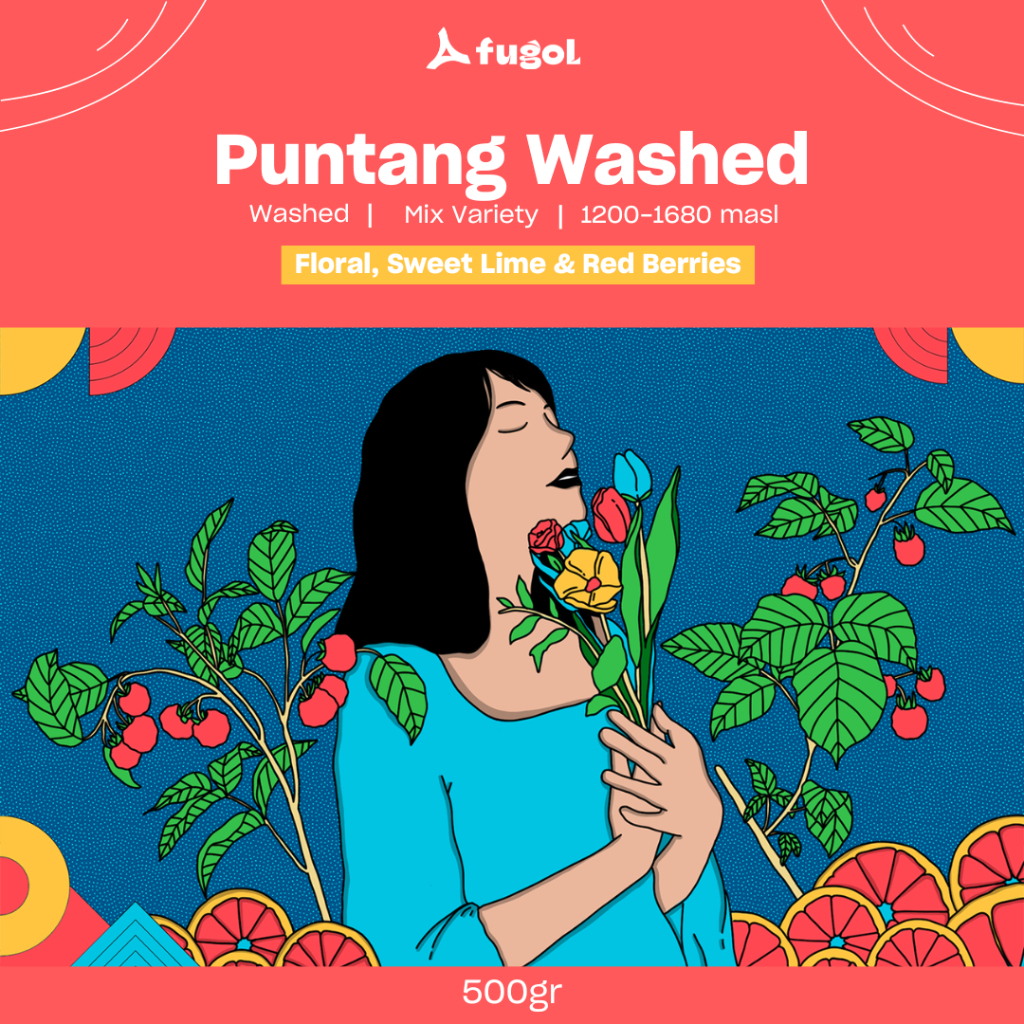 

Kopi Arabika PUNTANG WASHED (500 gr) Specialty Coffee Beans