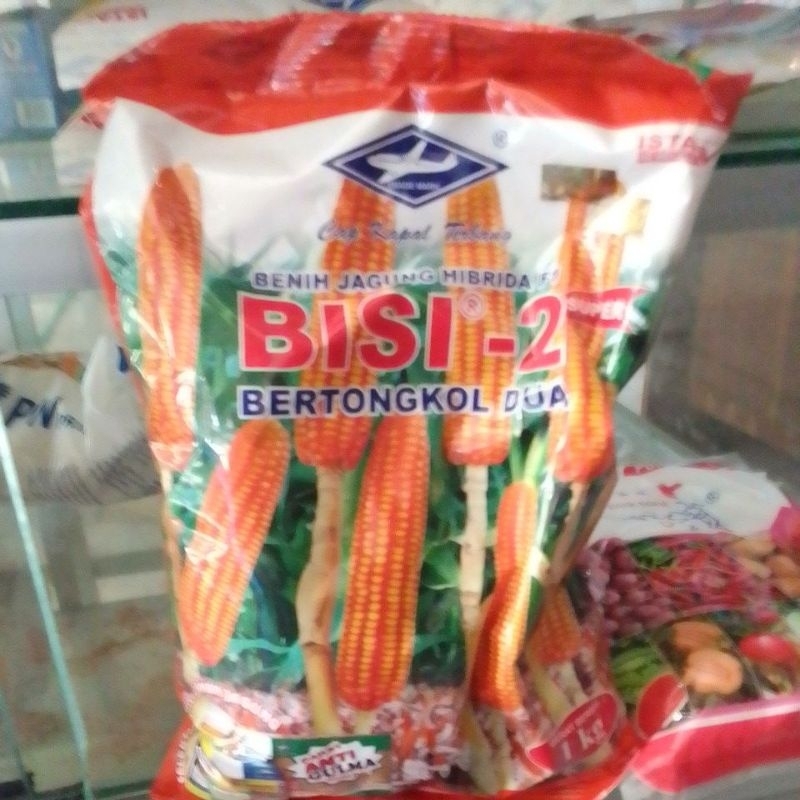 benih jagung hibrida bisi 2