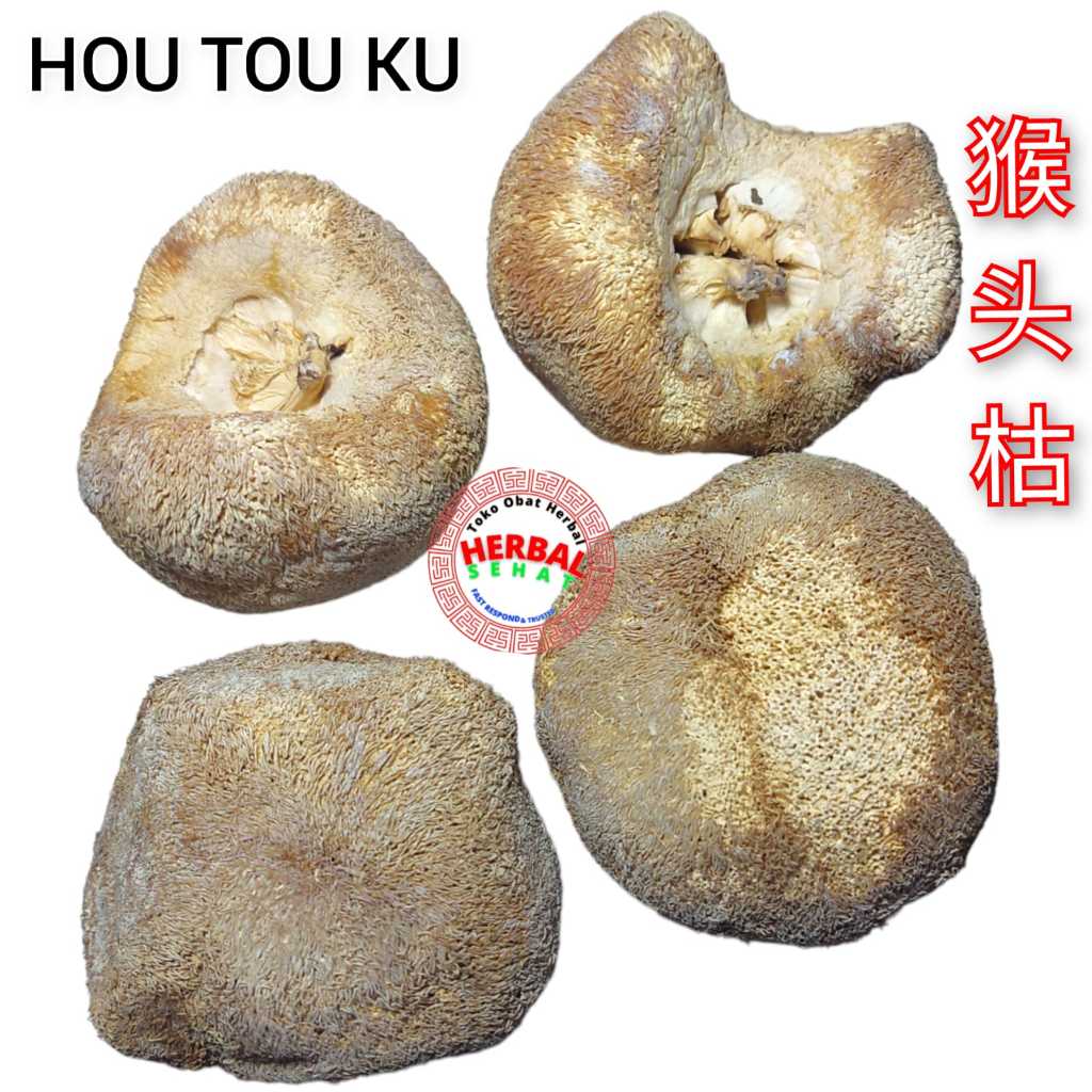 

Jamur Monyet Hou Tou Gu 100gram Monkey Head Mushroom / Lion's Mane Mushroom SUPER / Dried Monkey Mushroom