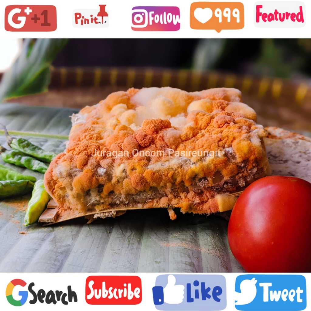 Oncom Pasireungit Sumedang Bandung Murah dan Alami