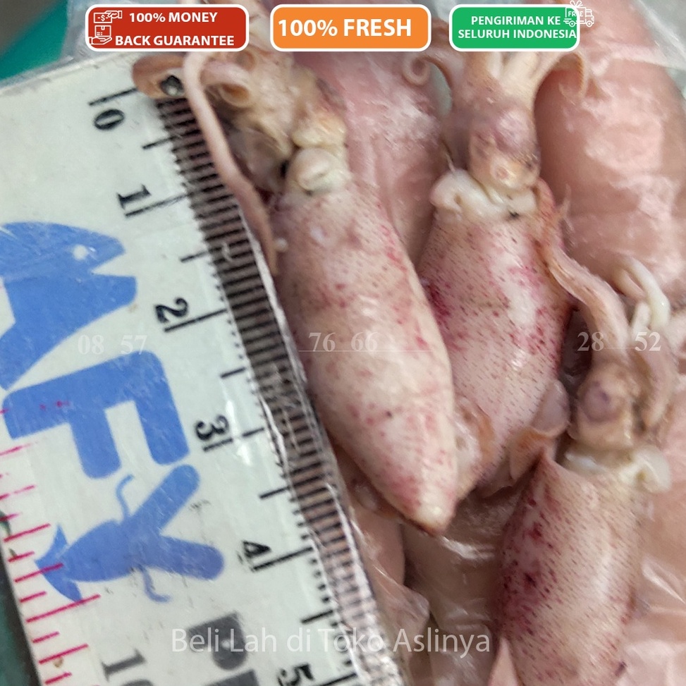 

⚡XPRESS⚡ PROMO Cumi Asin Sedang 4-7Cm 1kg & 500gr / Ikan Asin Jakarta / Sontong Rebus Mentah Siap Masak