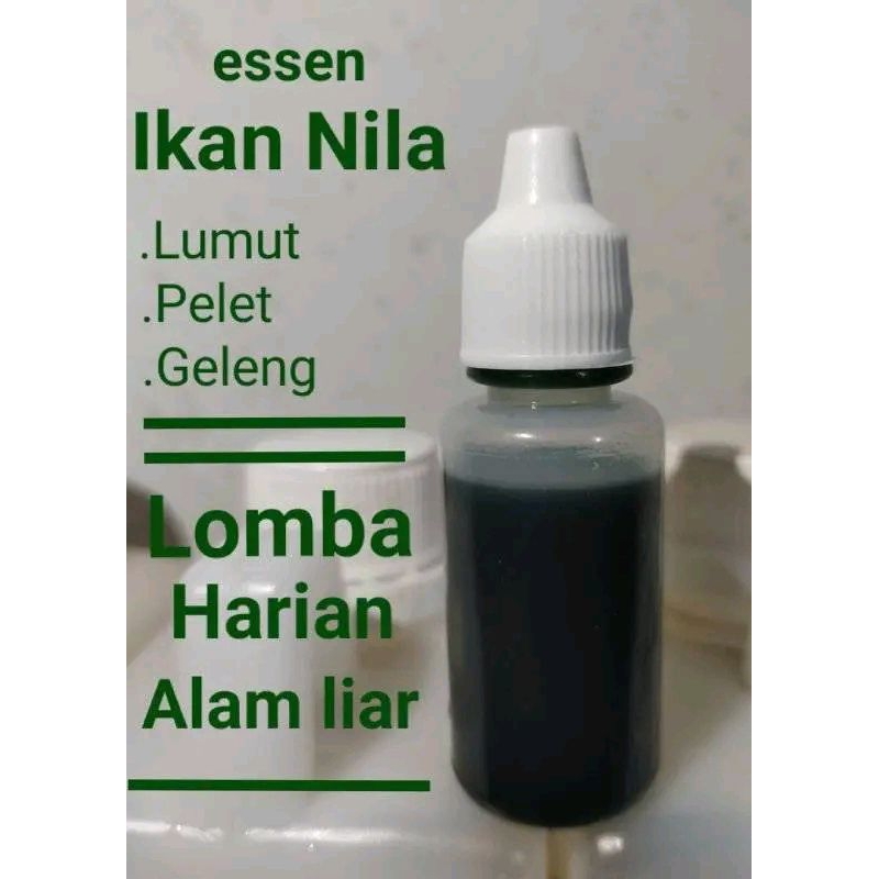 esen ikan nila liar dan lomba