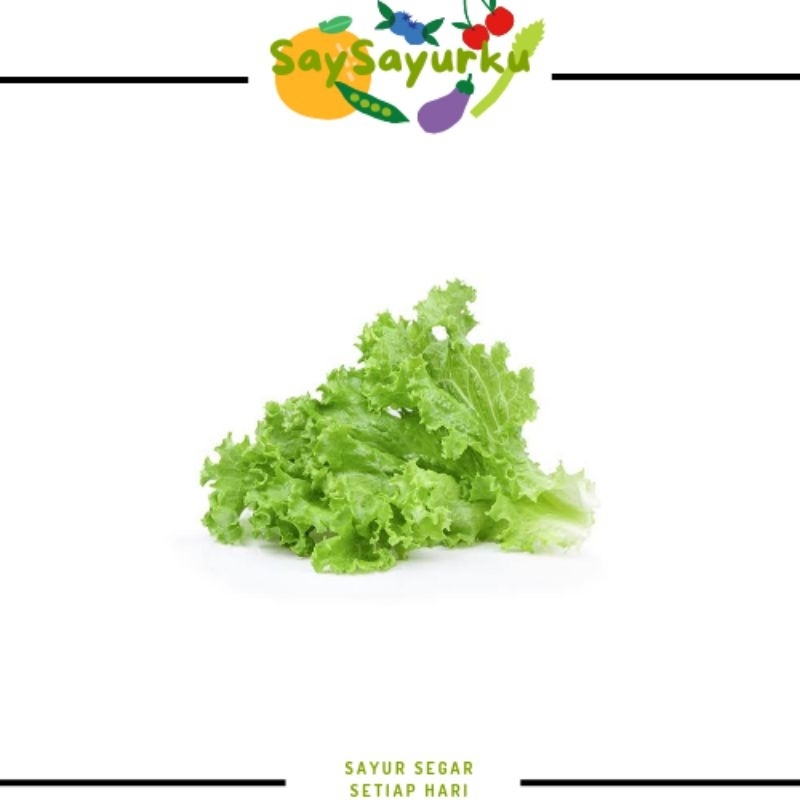 

SELADA HIJAU SELADA SALAD