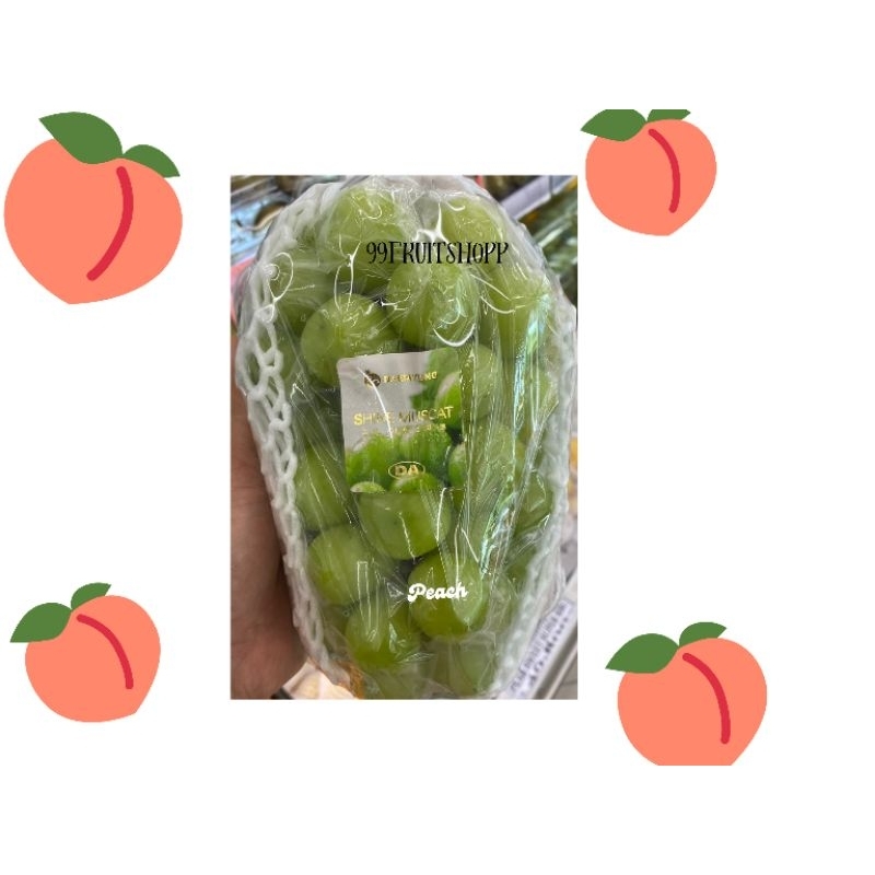 

Buah anggur hijau Shine muscat korea | pack