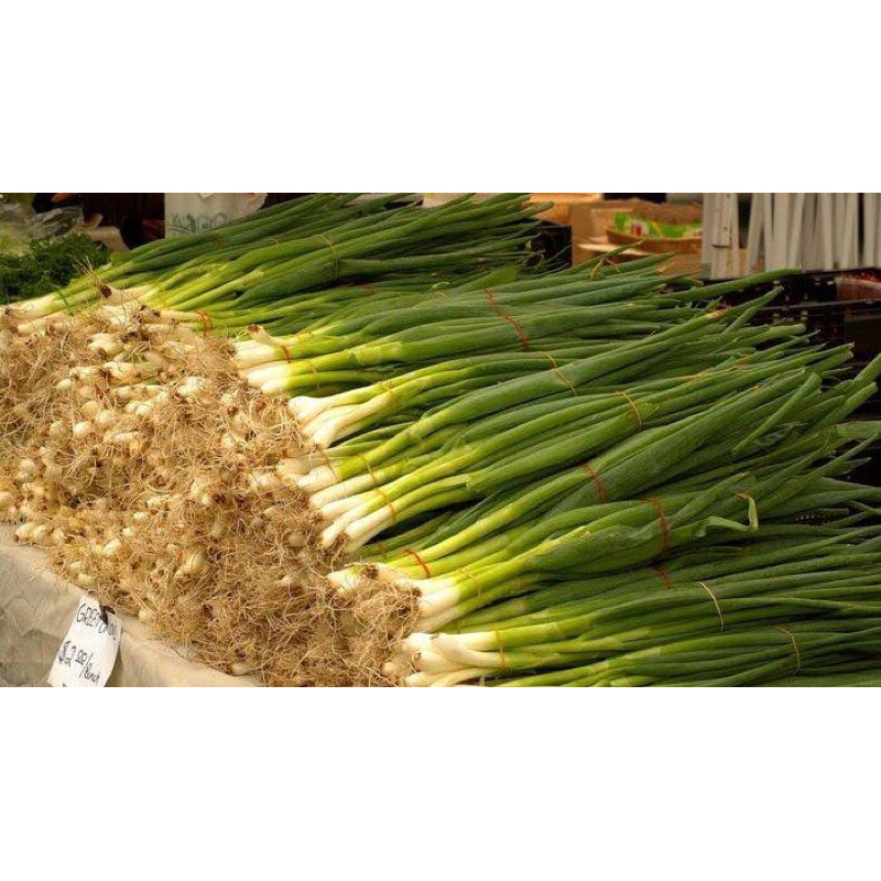 

SIMPLE SAYUR SEGAR DAUN BAWANG 250G