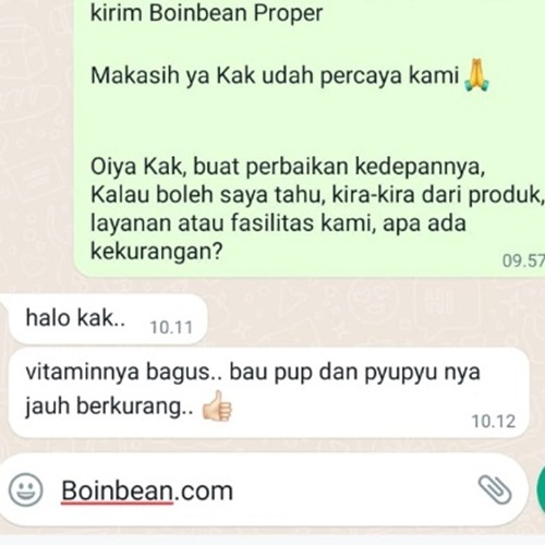 Boinbean Proper | Kurangi Bau Kotoran Kucing