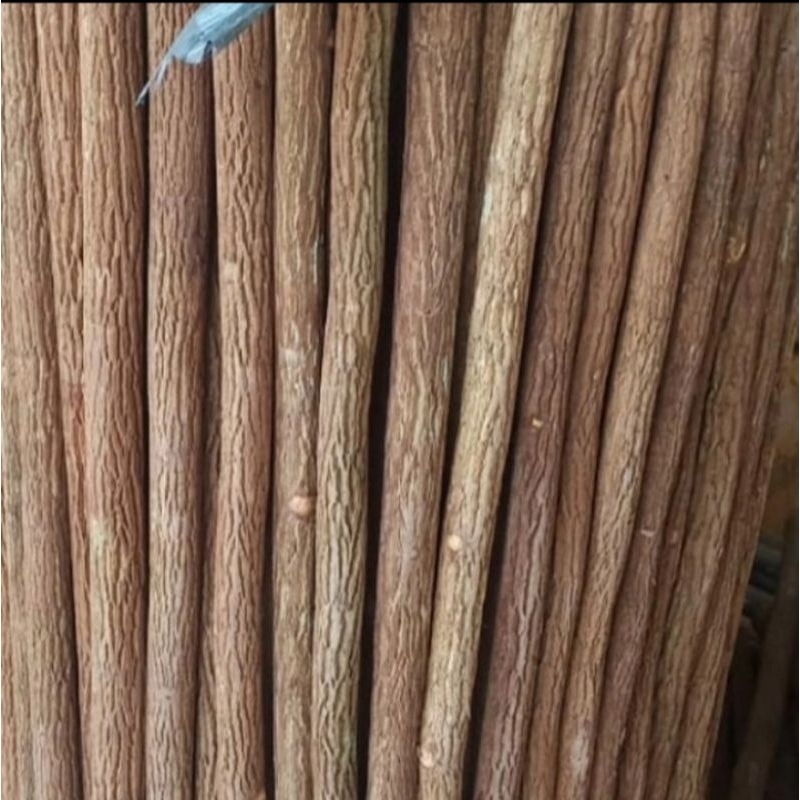 Batang Kayu Asem Jawa Asli Untuk Tangkringan Burung Per 1 Pcs Original