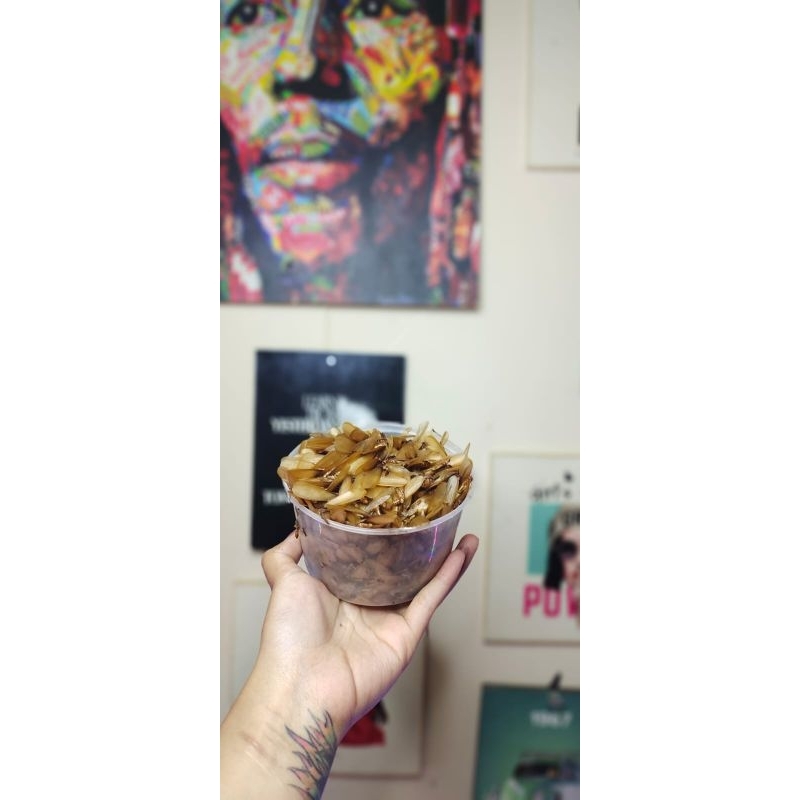 umpan pancing LARON SILARU kemasan 1 gelas