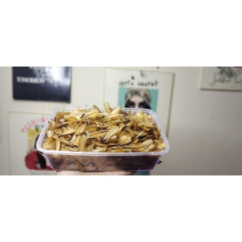 umpan pancing LARON SILARU kemasan 2gelas