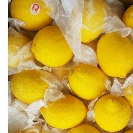 

Buah 1Kg Lemon RRC Premium, Buah Fresh Same Day Delivery Jogja