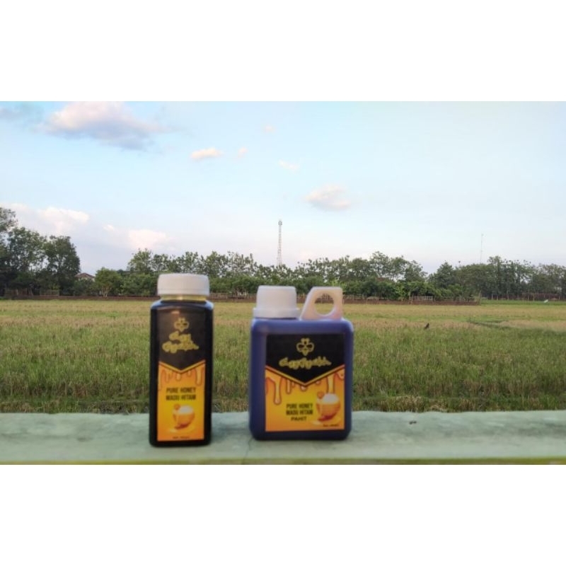 

Madu Klanceng (hitam)