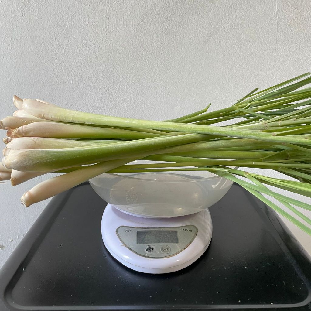 

Sereh / Serai Segar Bumbu Dapur 500 Gram