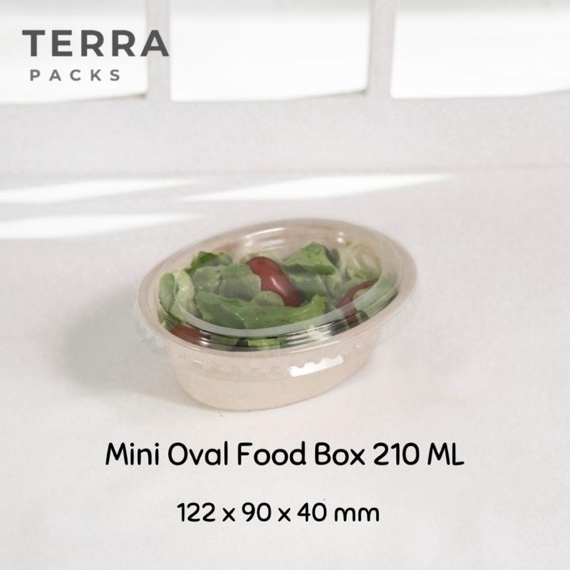 Terra Bagasse Box Oval Mini 210 ML Clear Transparan Lid Aluminium Foil Cup Tray Tempat Ice Cream Es 