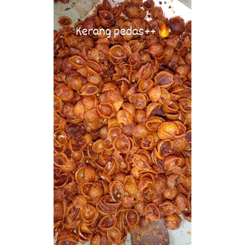 

Kerang pedas
