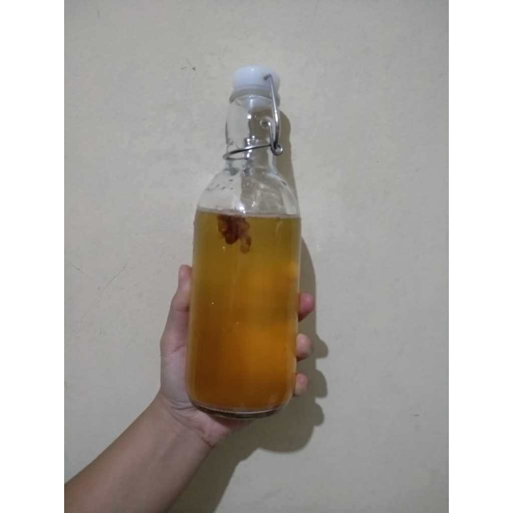 

kombucha/air starter/250ml/botol plastik