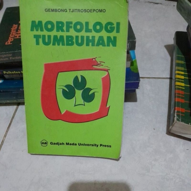 MORFOLOGI TUMBUHAN