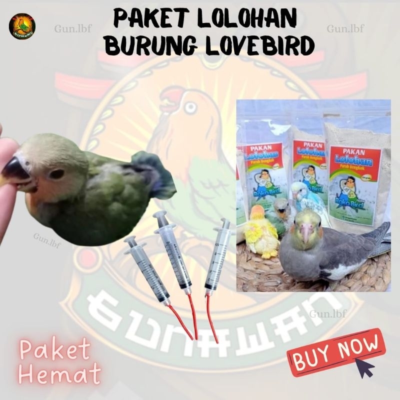 Paket Hemat Lolohan Anakan Burung Lovebird Nonklep jinak