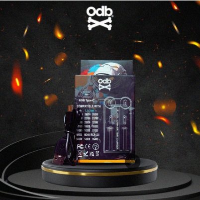 KDEST ODB CHARGER BATTERY USB TYPE C 2SLOT CASAN 1PCS