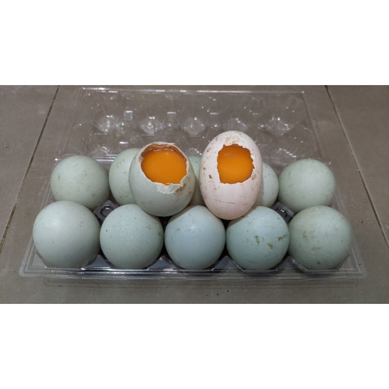 

Telur Bebek Omega Isi 10 Butir